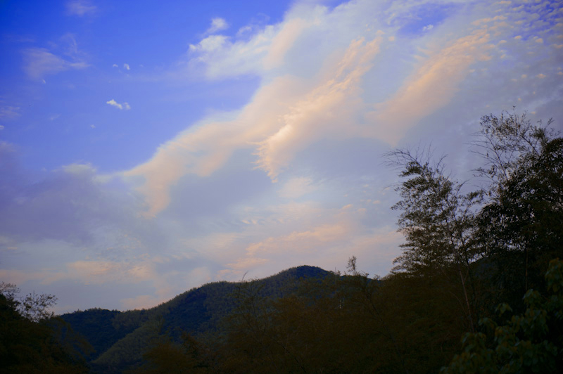 dsc_6533a.jpg