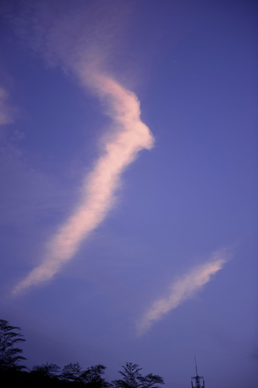 dsc_6538a.jpg