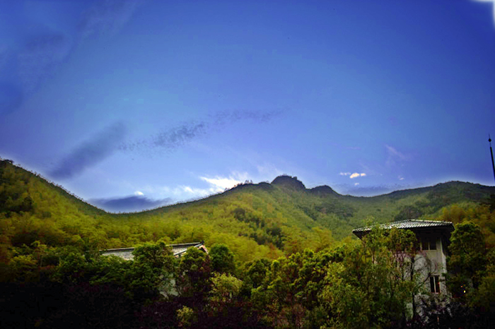 dsc_6541a.jpg