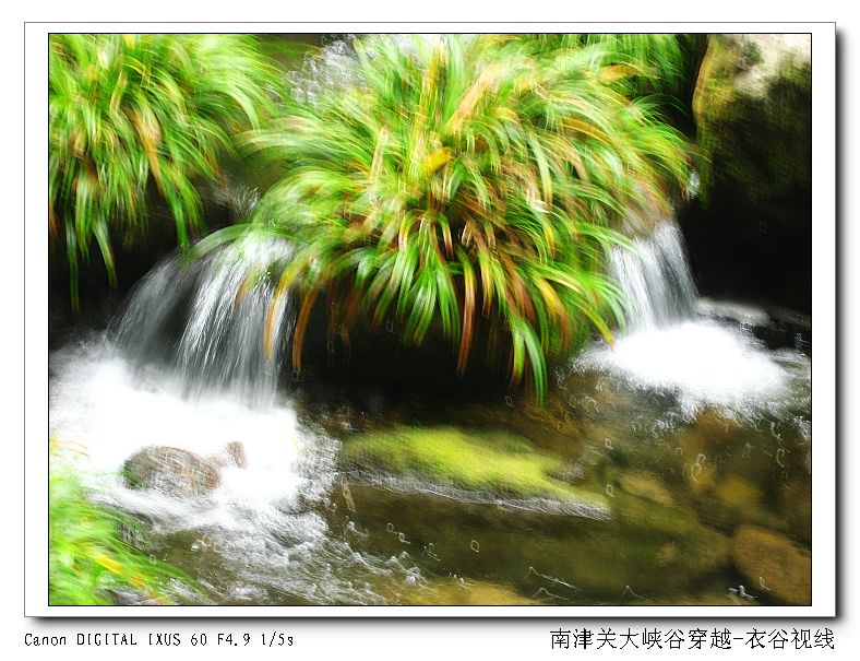 Ͻ20110604 094.jpg