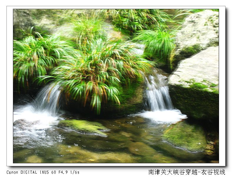 Ͻ20110604 095.jpg