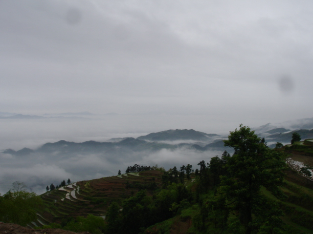 dsc06397.jpg