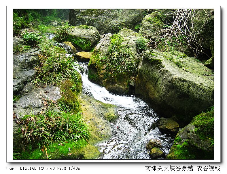 Ͻ20110604 110.jpg