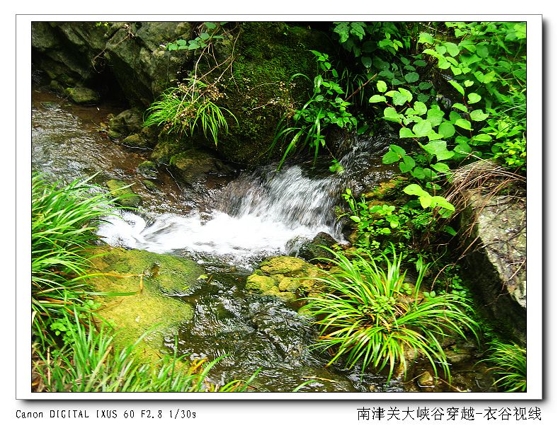 Ͻ20110604 085.jpg