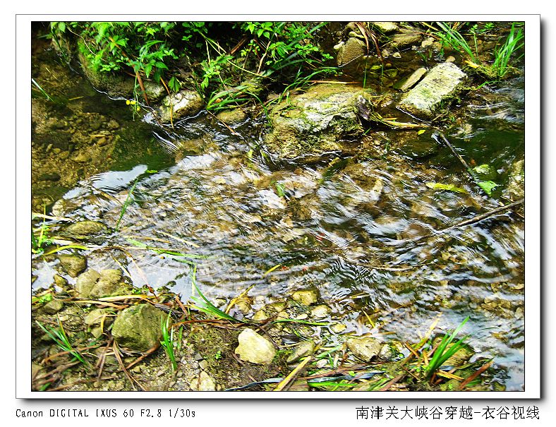 Ͻ20110604 084.jpg