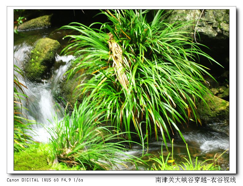 Ͻ20110604 090.jpg