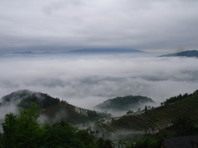 dsc06428.jpg