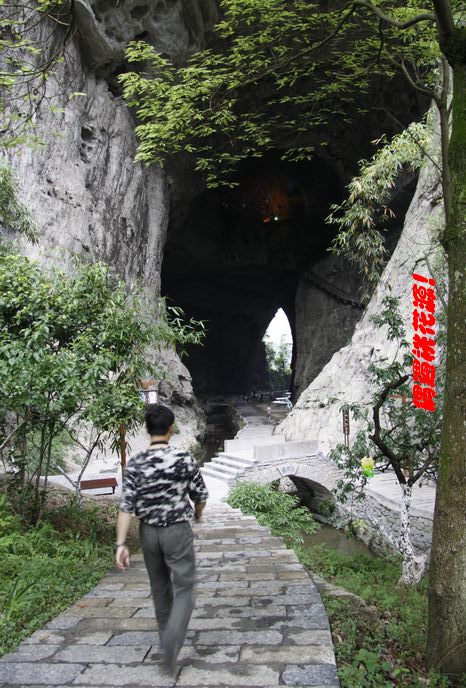 neo_img__mg_7162.jpg