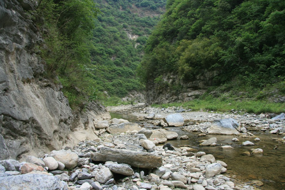 11060622jpg.jpg