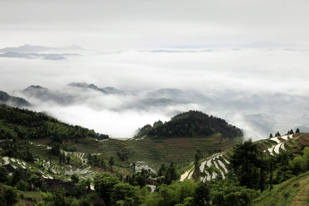 _mg_9860.jpg