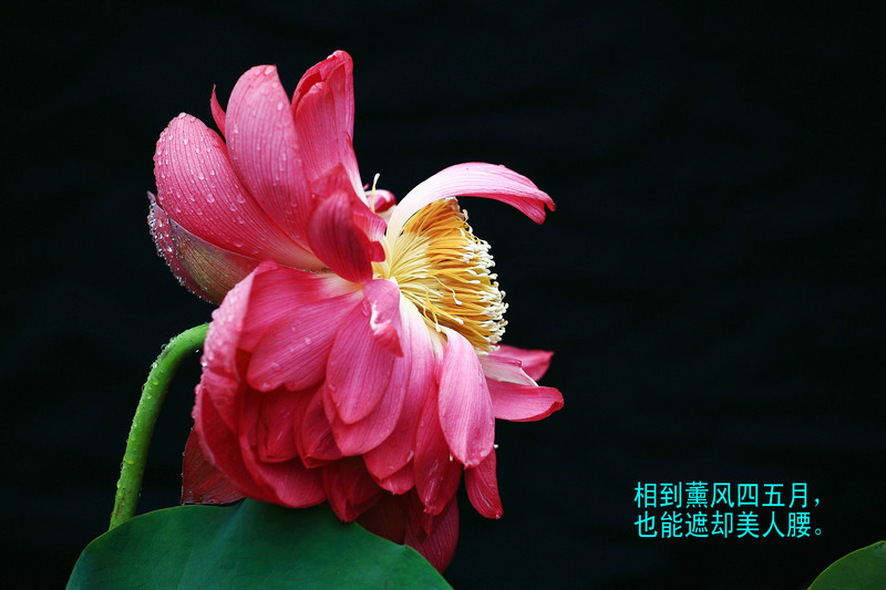 img_9970__1.jpg