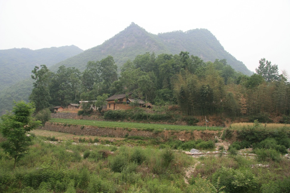 11060635.jpg