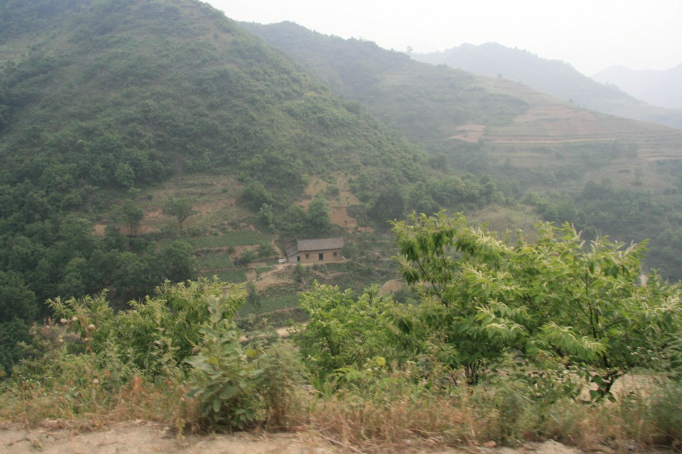 11060634jpg.jpg