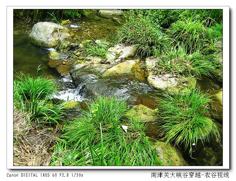 Ͻ20110604 119.jpg