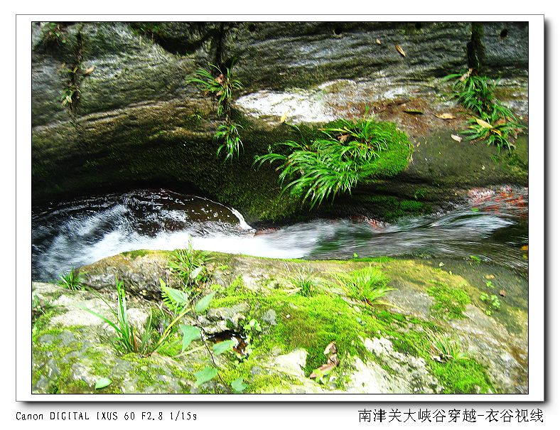 Ͻ20110604 133.jpg