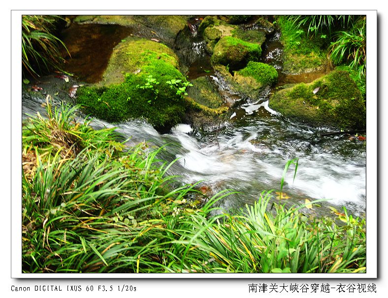 Ͻ20110604 154.jpg