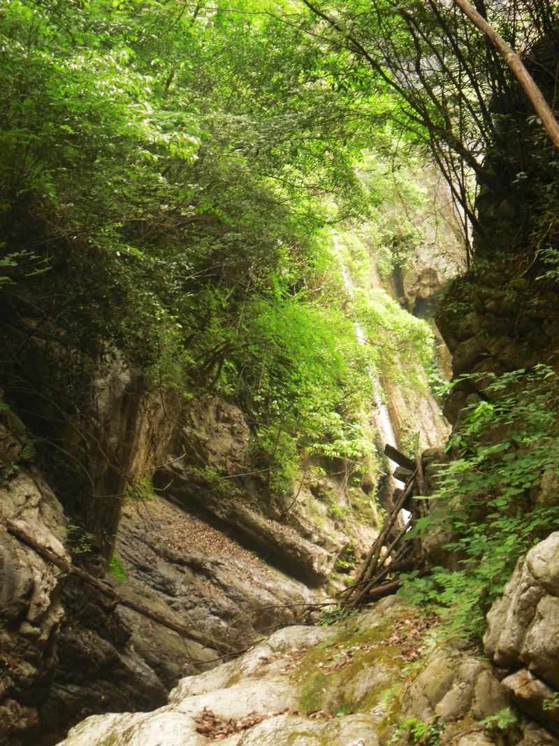 sdc12130.jpg