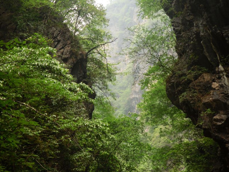sdc12132.jpg