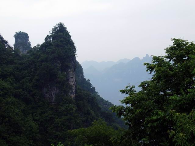 С p6048932.jpg