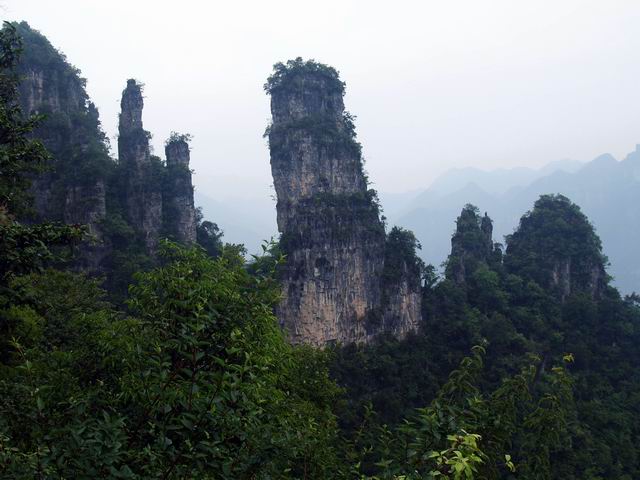 С p6048936.jpg