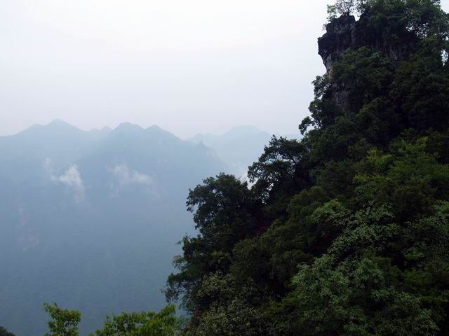 С p6048938.jpg