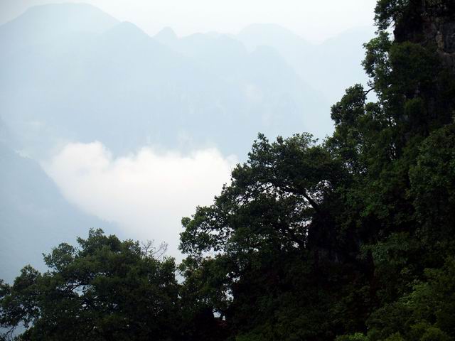 С p6048939.jpg