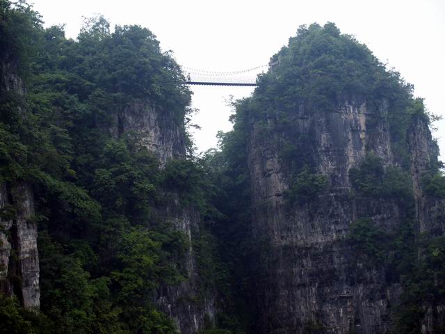 С p6048941.jpg
