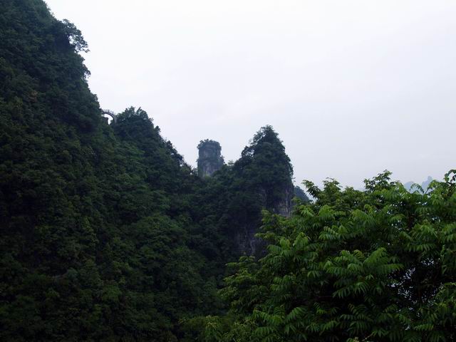 С p6048931.jpg