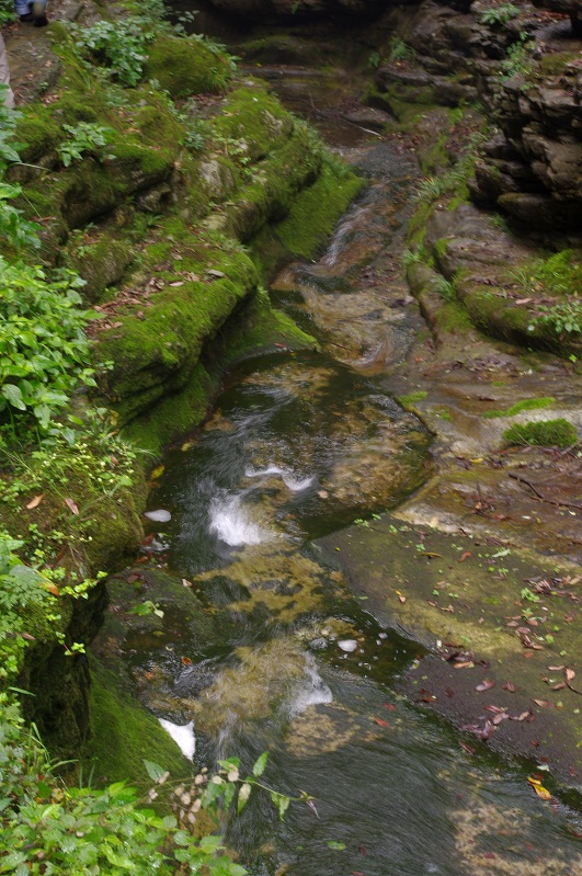 imgp0305.jpg