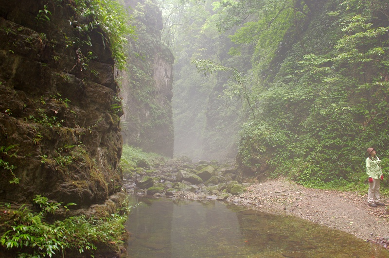 imgp01030.jpg