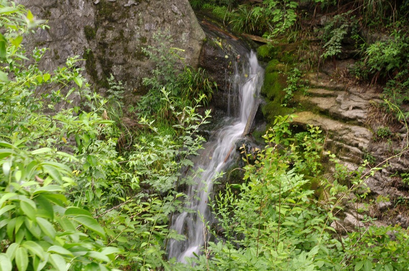 imgp0116.jpg