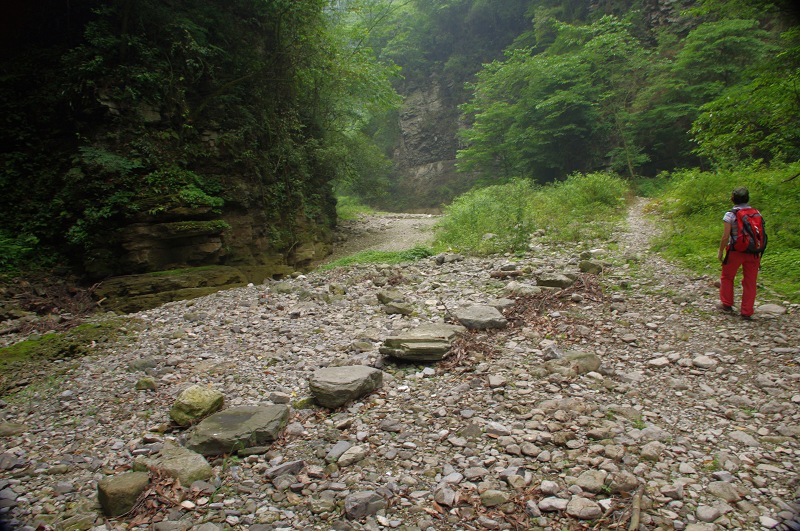 imgp01110.jpg