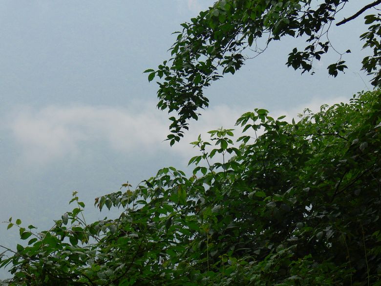 p1150297.jpg