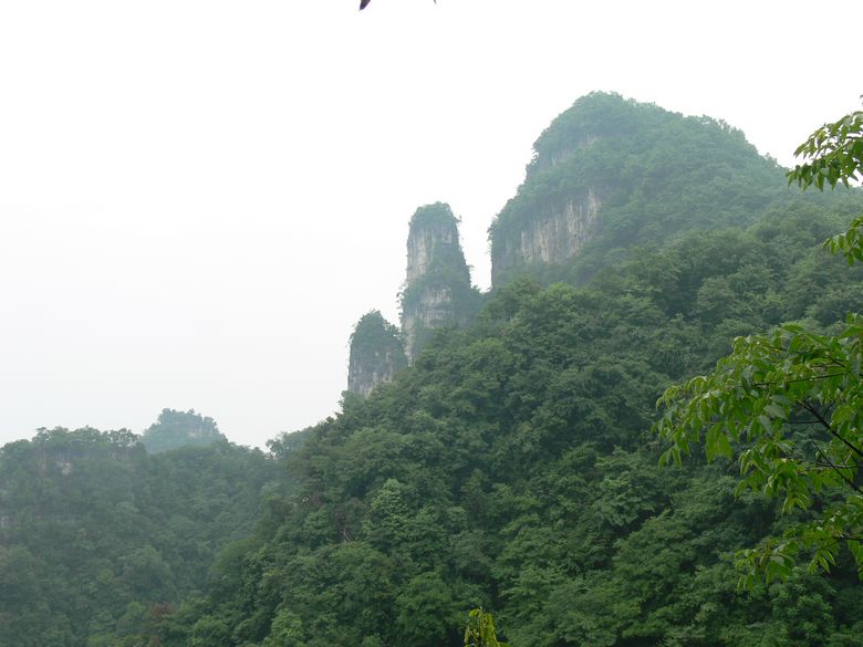 p1150304.jpg