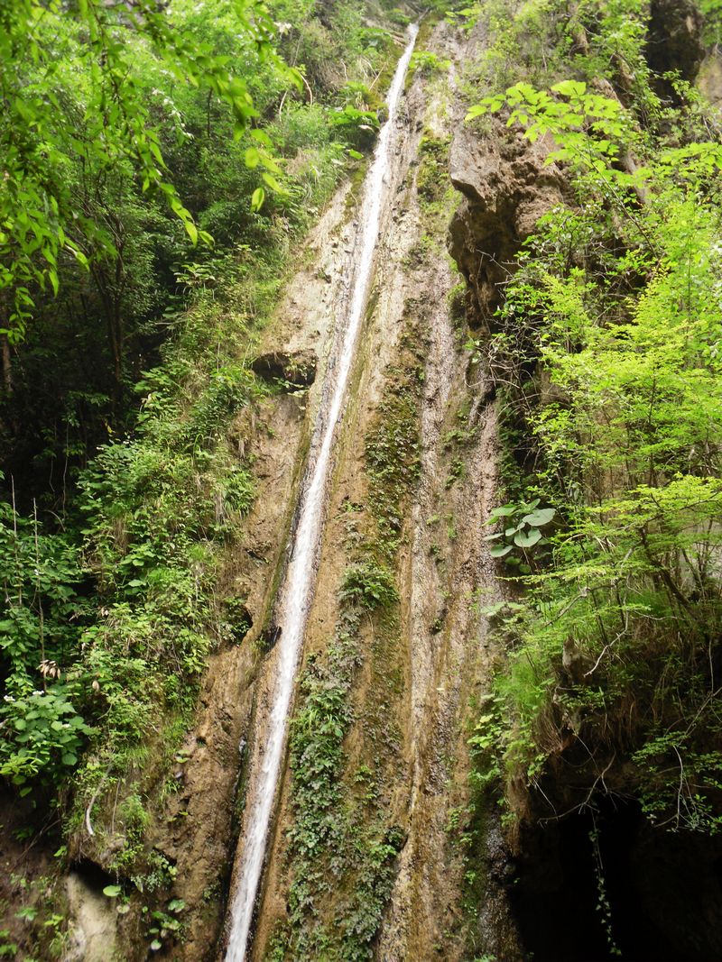 sdc12117.jpg