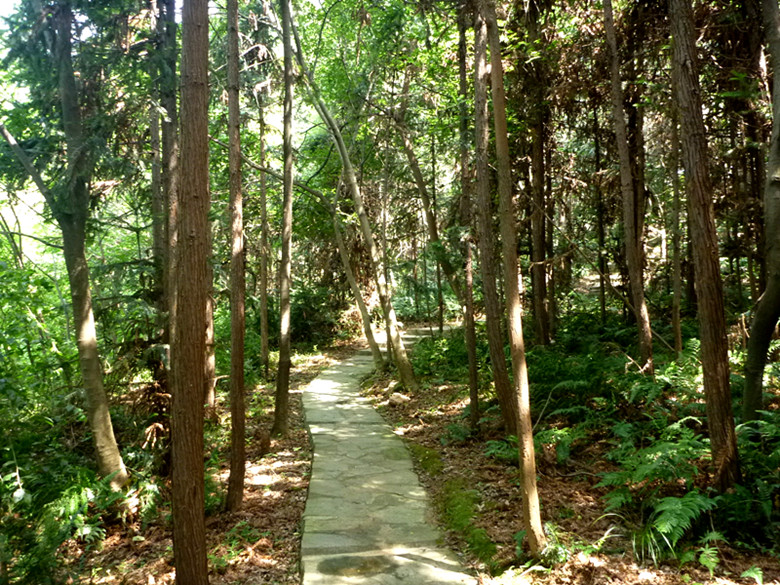 p1070188_.jpg