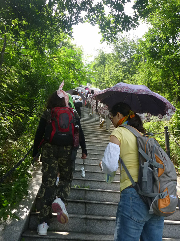 p1070194_.jpg