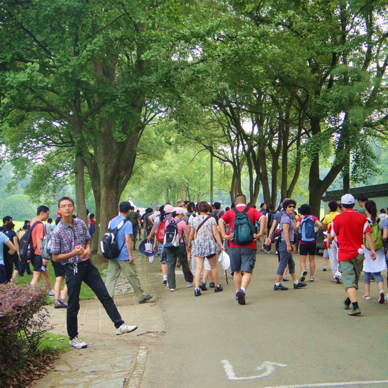 dsc02115.jpg