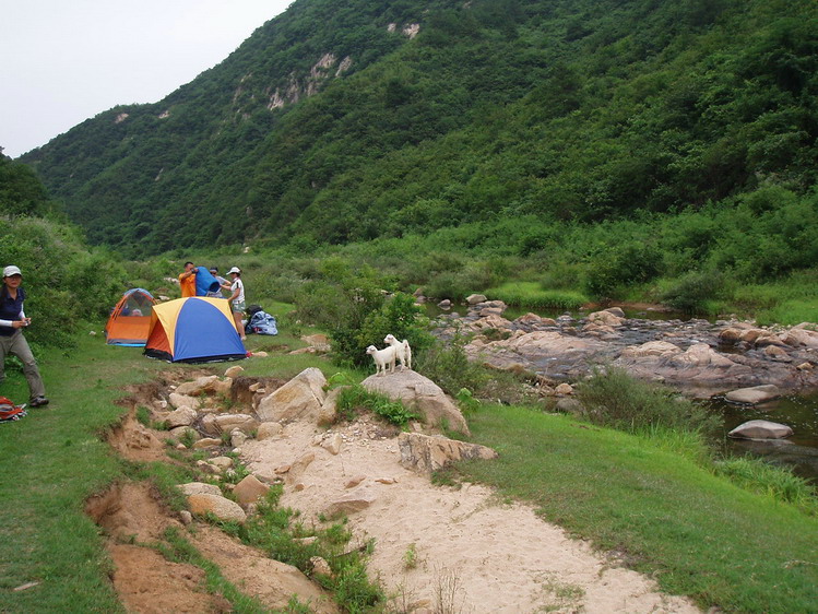 p1014777.jpg