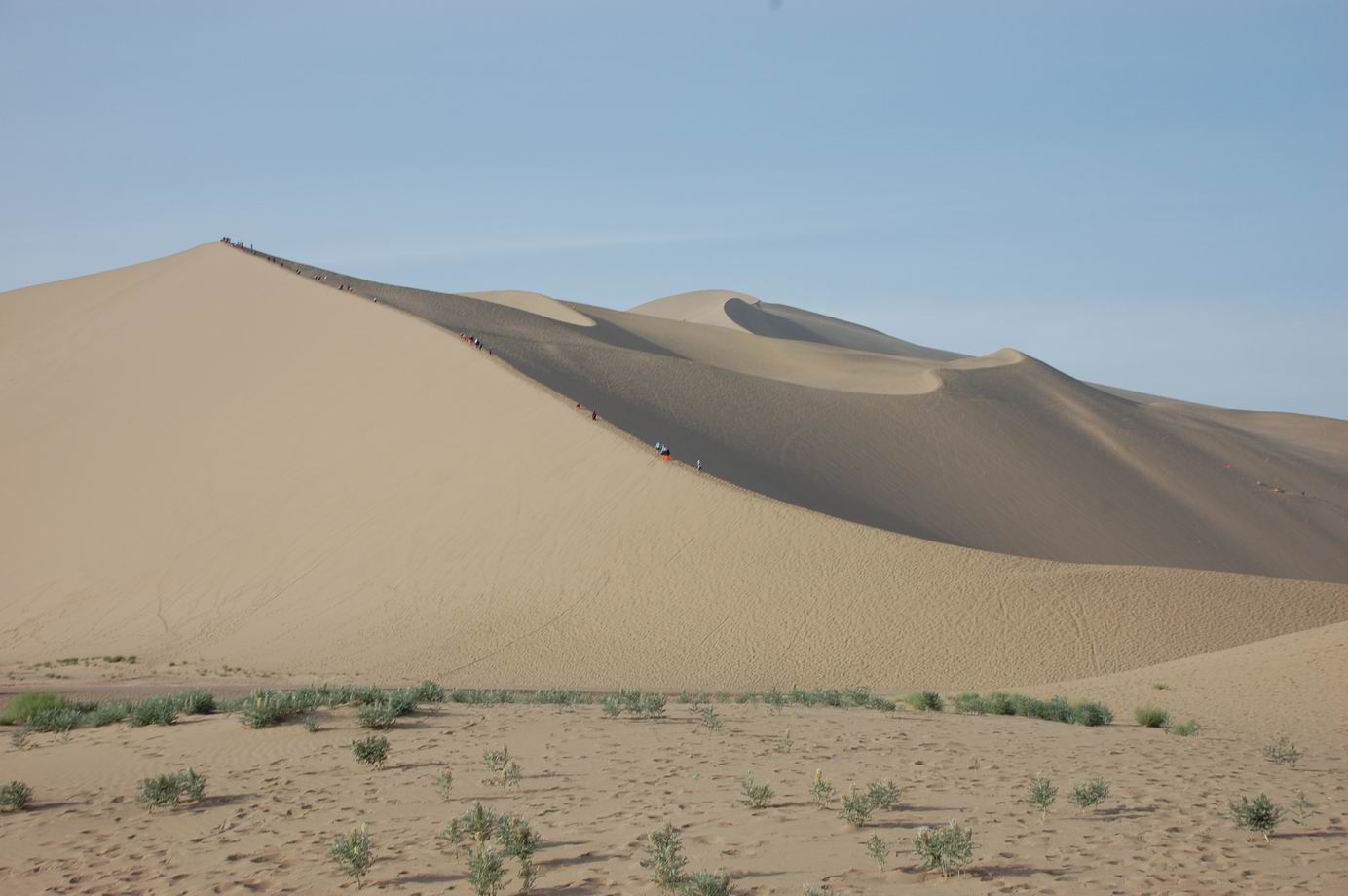 dsc_0216.jpg