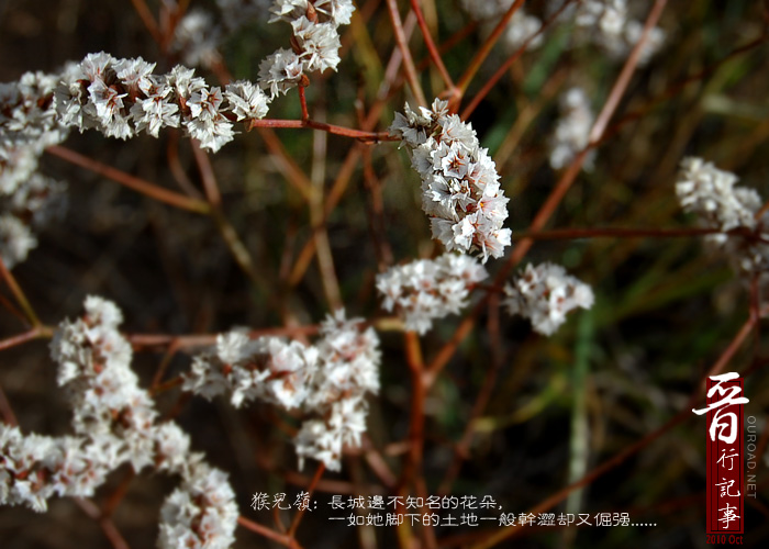 20101003_0510.jpg