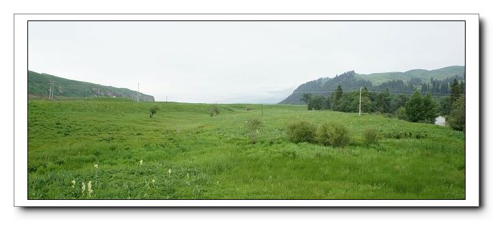 dsc00594x.jpg