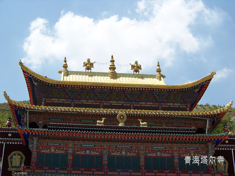 20110606bຣ (56)ؾ¥.jpg