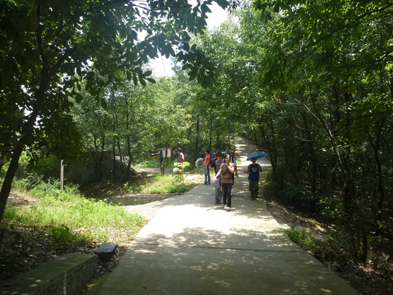 p1070223_.jpg