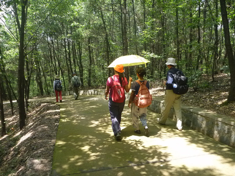 p1070225_.jpg