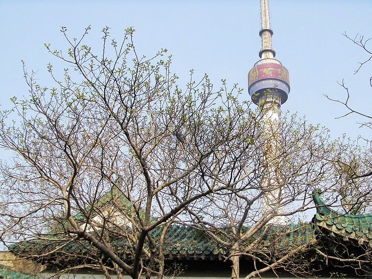 s73f2001.jpg