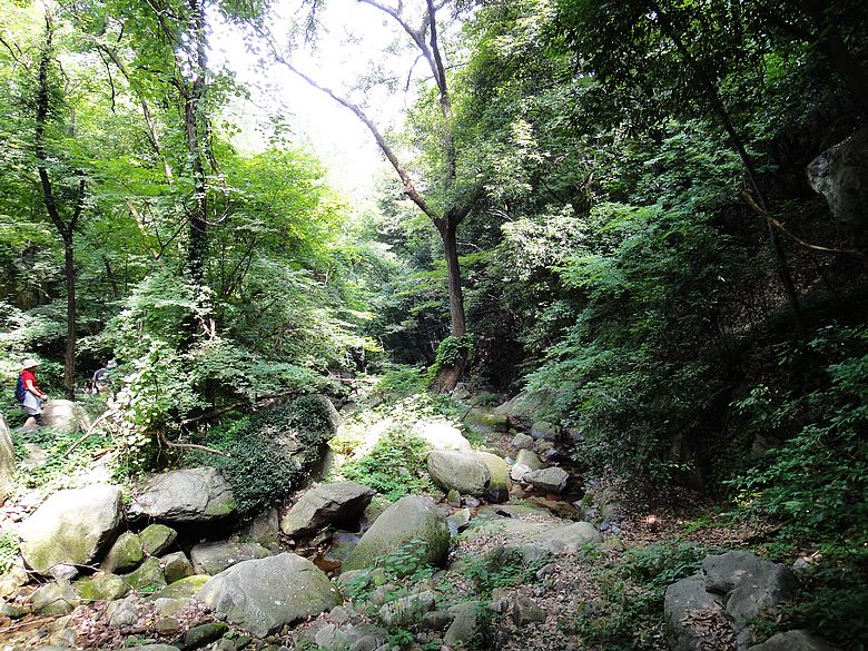 dsc05513.jpg