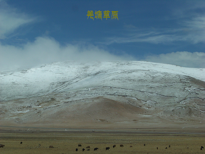 2011年0607i青藏线15-16点 (97)羌塘草原.jpg