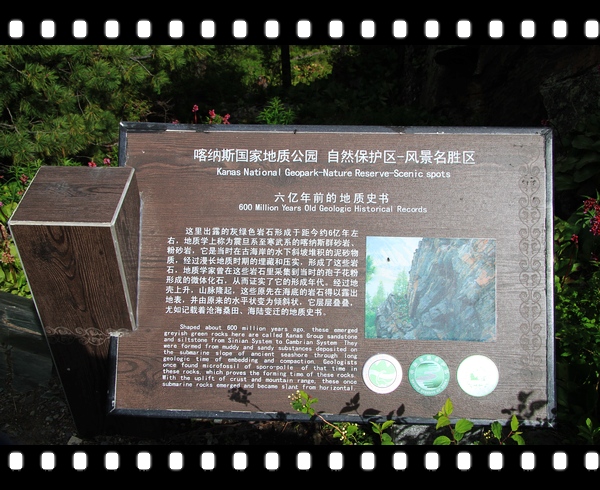 neo_img_img_6972.jpg