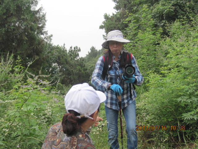 img_6526.jpg
